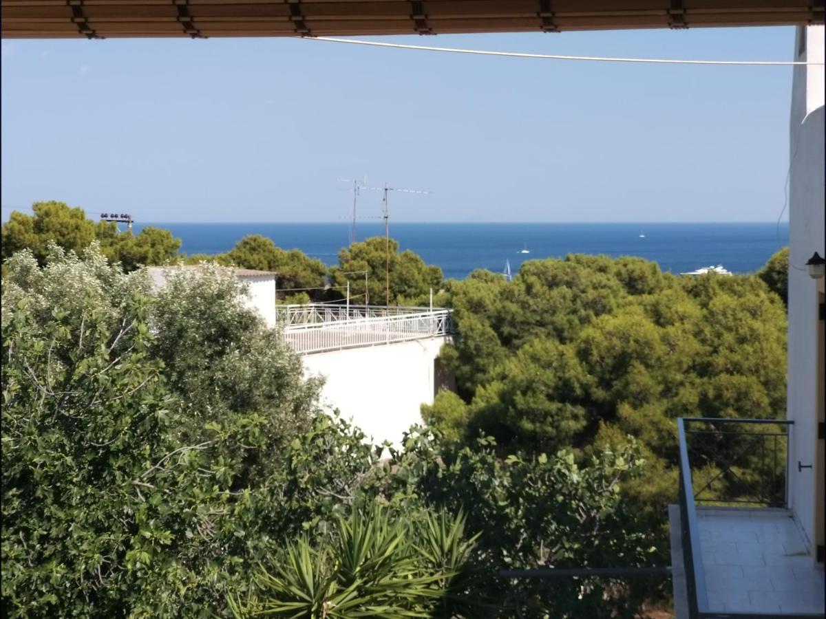 Aelia Houses Agia Marina  Екстериор снимка